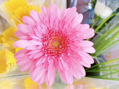 ナガサキ屋フラワーアレンジメントイメージ2